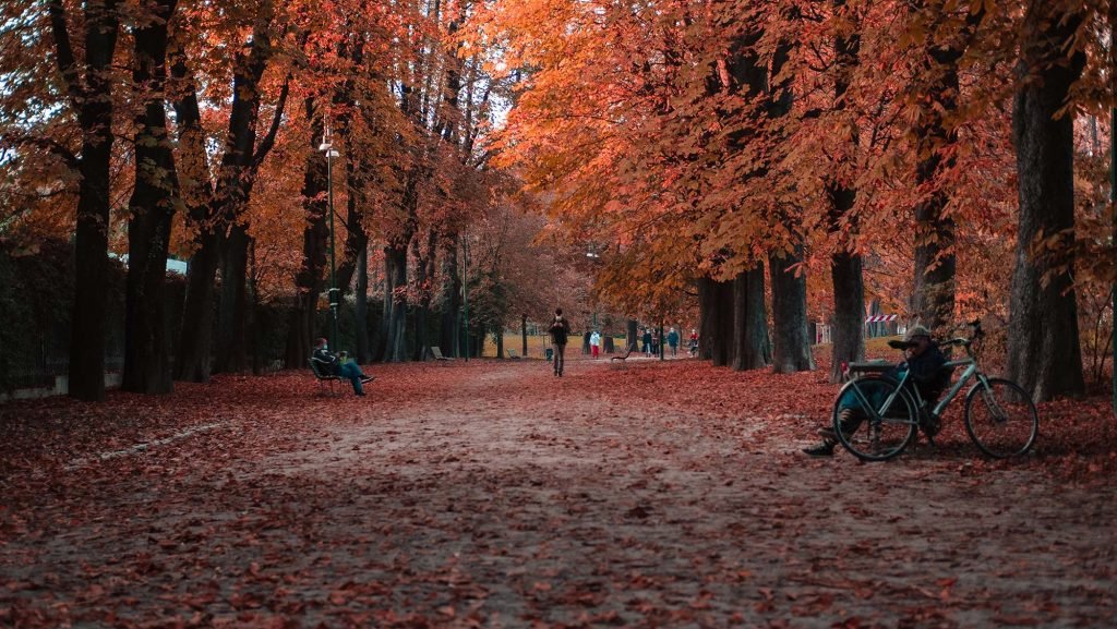 Parco Sempione nella città di Milano in Italia