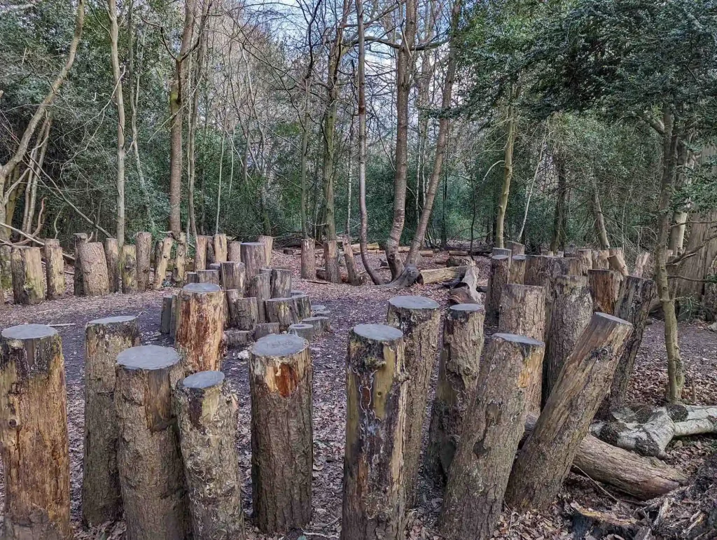 Alberi nella foresta di Box Hill