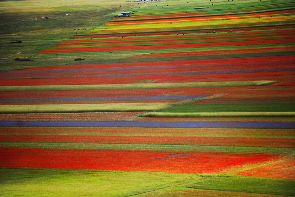 Castelluccio di Norcia in Umbria