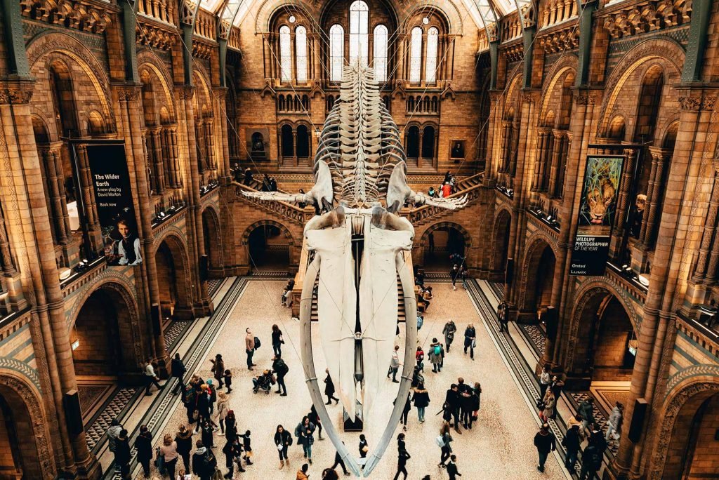 Natural History Museum di Londra